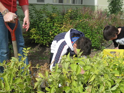 Students working in the courtyard